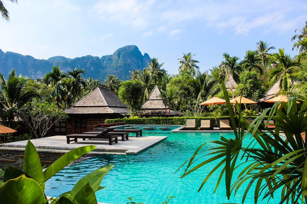 Luxury resort poolside at sunrise with tropical garden