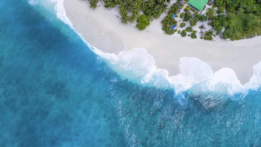 Aerial view of tropical coastline